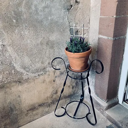 Apartamento Avec Terrasse Privative Celles-sur-Plaine